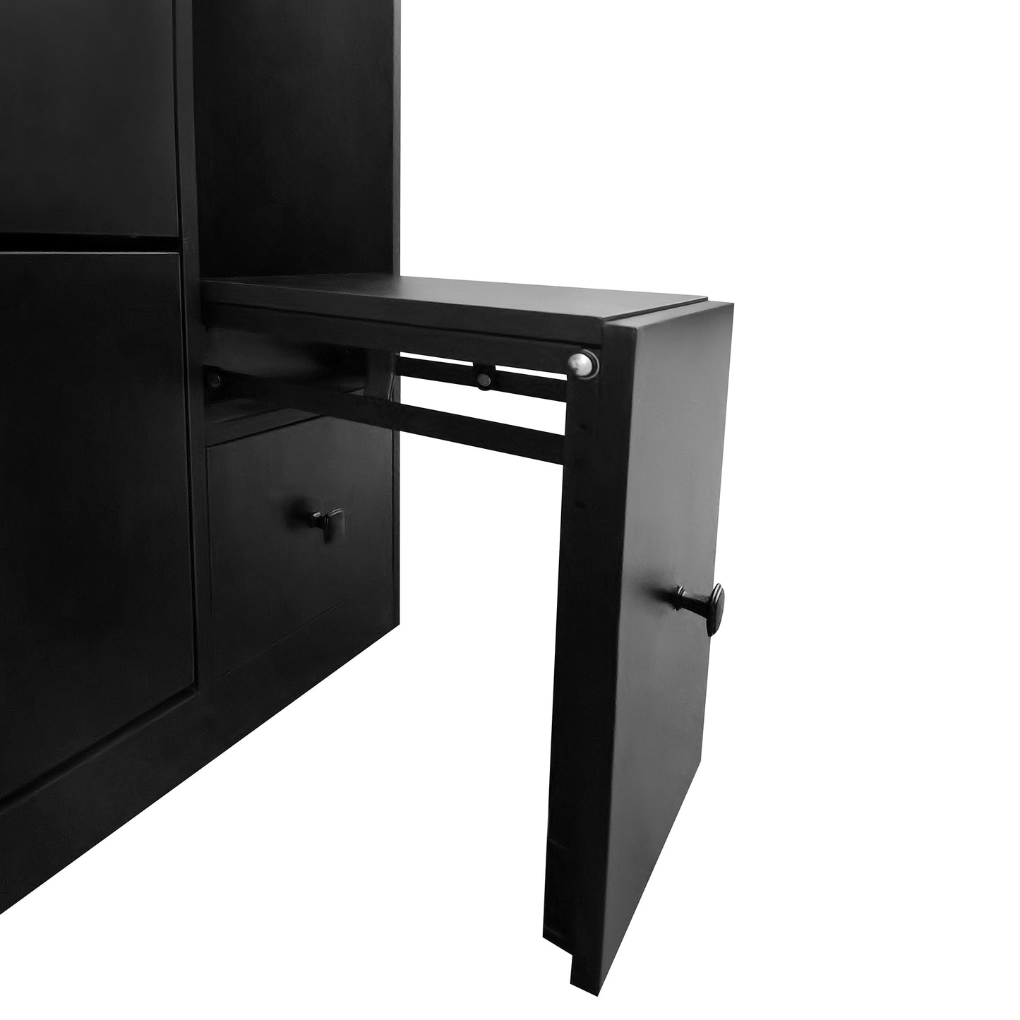 Melysen Versatile Shoe Cabinet with 3 Flip Drawers，Black